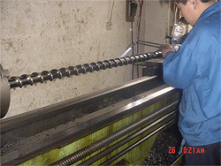 鿴ϸϢ<br>⣺ݸͲ޸ Ķ2901